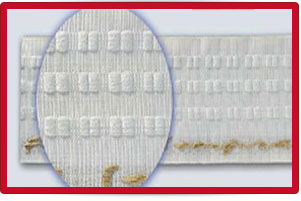 Plants: image 1 0f 4 thumb